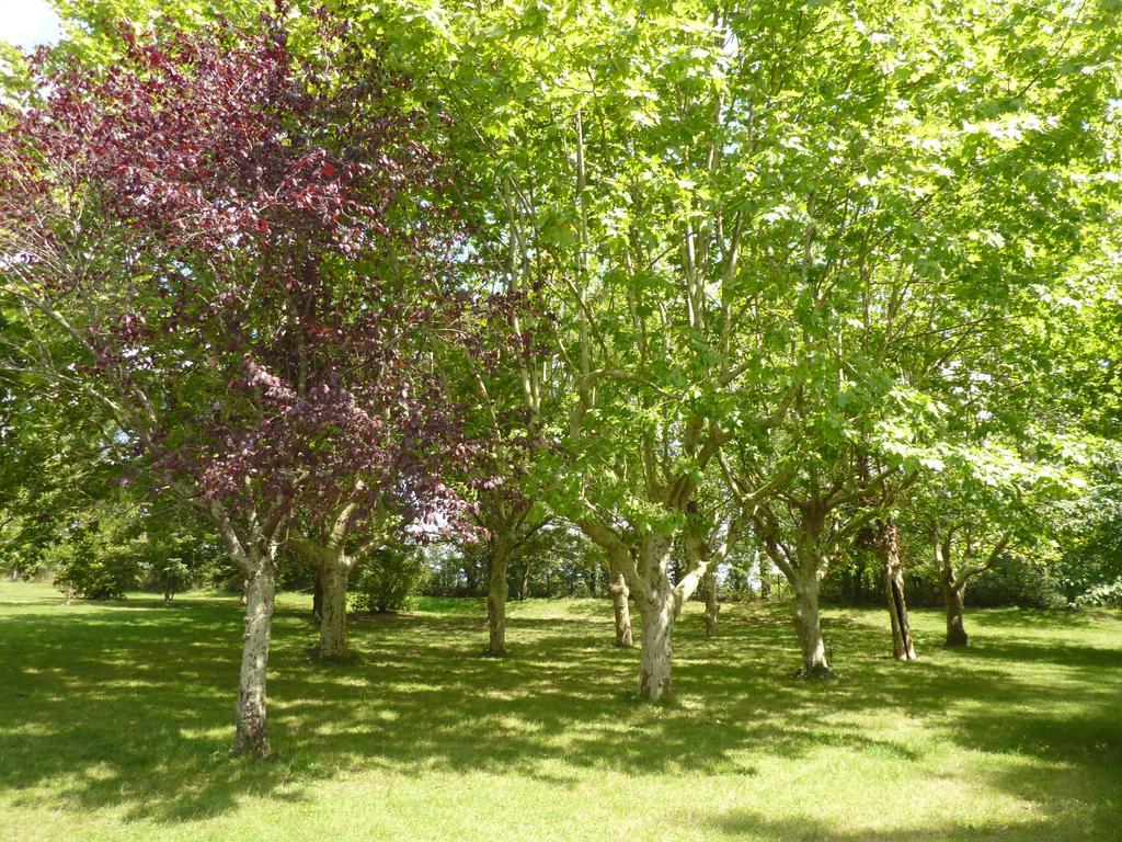 Camping Parc du Château d'Allot Hotel Boe Ngoại thất bức ảnh